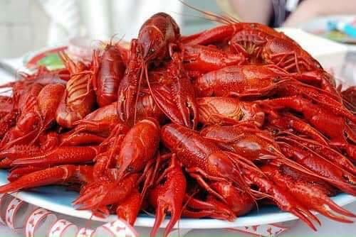 Tôm hùm đất - Crawfish